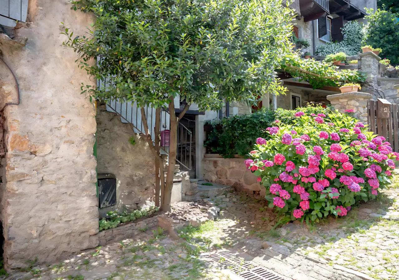 Casa Del Borgo: Appartamento Immerso Nel Verde A/C Белано Екстериор снимка